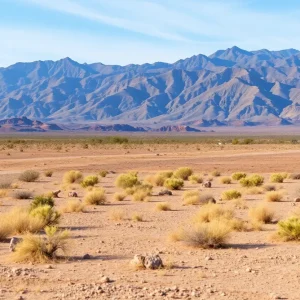 A landscape view of vacant land in Las Vegas surrounded by mountains.